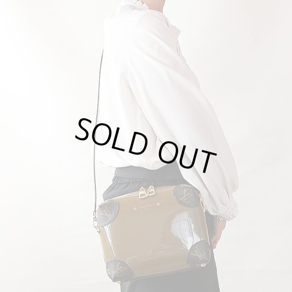 ルイ・ヴィトン　ヴェニス M54390 ヴェールブロンズ　掛けたイメージ