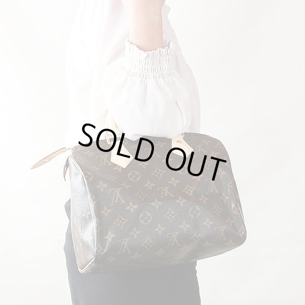 ルイ・ヴィトン　スピーディ25 M41109　持ったイメージ