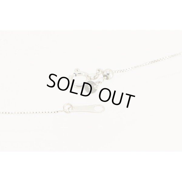 PT850/900 ダイアイリペンダントネックレス 1.00ct 5.70g　留め具外したイメージ