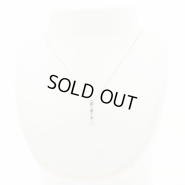 PT850/900 ダイアイリペンダントネックレス 0.60ct 4.90g　装着イメージ