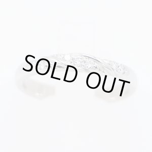 画像: ニナリッチ　PT900 ダイアイリリング 3.80g