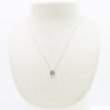 PT999/850 ダイアイリペンダントネックレス 0.28ct 2.90g　装着イメージ