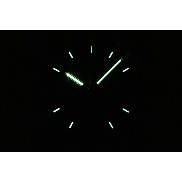 ジン　フランクフルト　ファイナンシャルクロノ　黒文字盤　ライト暗闇