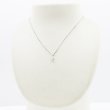 PT900/850 ダイアイリペンダントネックレス 0.410ct 2.60g　装着イメージ
