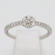 PT900 ダイアイリリング0.30ct 2.60g