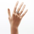PT900 ダイアイリリング 0.88ct 0.54ct 8.20g　装着イメージ