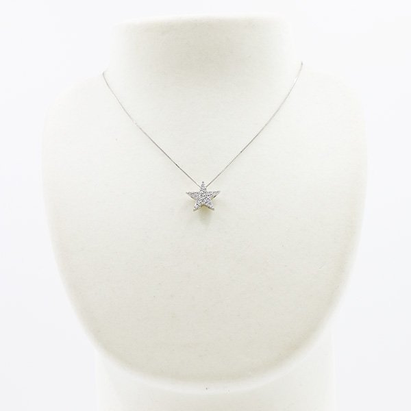 PT850/900 ダイアイリペンダントネックレス 0.50ct 4.60g　装着イメージ