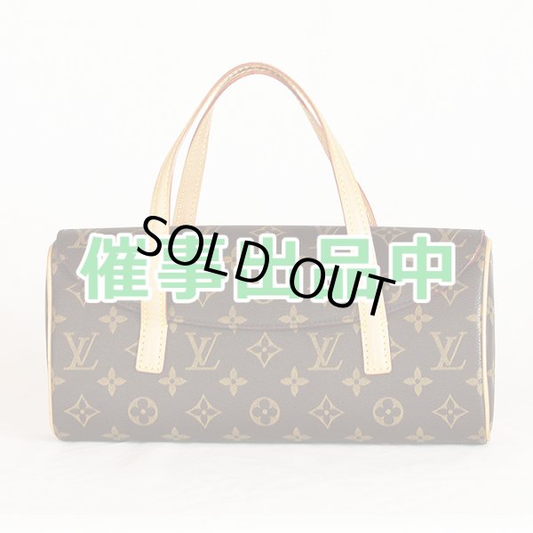 画像1: ルイ・ヴィトン　ソナチネ M51902 (1)