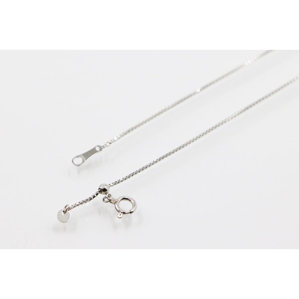 PT850/900 ダイアイリペンダントネックレス 0.35ct 4.90g　留め具外したイメージ