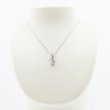 PT850/900 ダイアイリペンダントネックレス 0.35ct 4.90g　装着イメージ