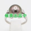 画像1: ミキモト　PT950 黒蝶パールダイアイリリング 12.00mm 0.84ct 7.40g (1)