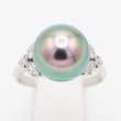 PT900 黒蝶パールダイアイリリング 11.50mm 0.30ct 6.30g