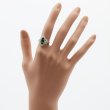 PT900 クロムトルマリンダイアイリリング 1.46ct 0.22ct 5.20g　装着イメージ(2)